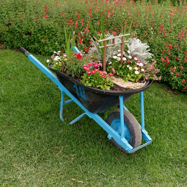 Wheelbarrow (9)